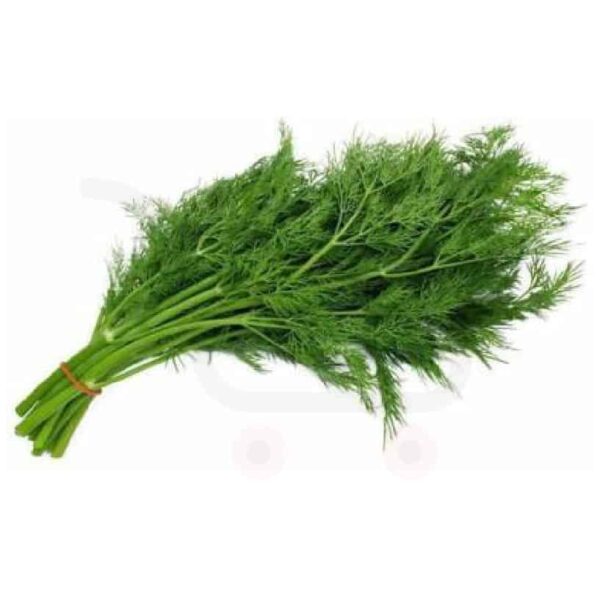 Fresh Dill Soya Unit Bunch Urbangroc