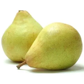 https://www.urbangroc.com/wp-content/uploads/2022/07/Nashpathi-Pears-e1692450161495.jpg.webp